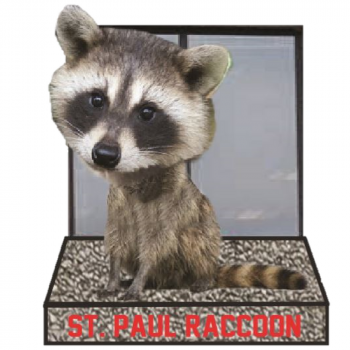 Paul Raccoon Limited Edition Bobblehead St 