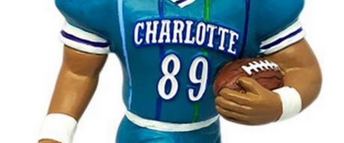 charlotte hornets and steve